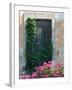 Detail of Old House, Assos, Kefalonia, Ionian Islands, Greece-Walter Bibikow-Framed Photographic Print