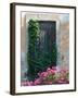 Detail of Old House, Assos, Kefalonia, Ionian Islands, Greece-Walter Bibikow-Framed Photographic Print