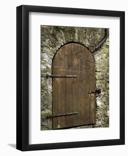 Detail of Old Wooden Door in Stone Wall, Tallinn, Estonia-Nancy & Steve Ross-Framed Premium Photographic Print