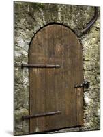 Detail of Old Wooden Door in Stone Wall, Tallinn, Estonia-Nancy & Steve Ross-Mounted Photographic Print
