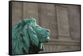 Detail of One of the Art Institute Lions outside the Art Institute of Chicago.-Jon Hicks-Framed Stretched Canvas
