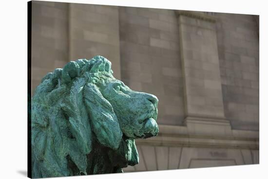 Detail of One of the Art Institute Lions outside the Art Institute of Chicago.-Jon Hicks-Stretched Canvas