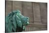 Detail of One of the Art Institute Lions outside the Art Institute of Chicago.-Jon Hicks-Stretched Canvas