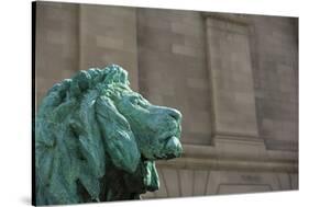 Detail of One of the Art Institute Lions outside the Art Institute of Chicago.-Jon Hicks-Stretched Canvas