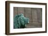 Detail of One of the Art Institute Lions outside the Art Institute of Chicago.-Jon Hicks-Framed Photographic Print