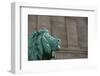 Detail of One of the Art Institute Lions outside the Art Institute of Chicago.-Jon Hicks-Framed Photographic Print