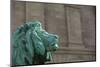 Detail of One of the Art Institute Lions outside the Art Institute of Chicago.-Jon Hicks-Mounted Photographic Print