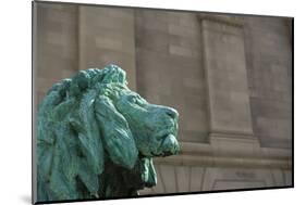 Detail of One of the Art Institute Lions outside the Art Institute of Chicago.-Jon Hicks-Mounted Photographic Print