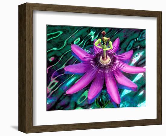 Detail of Passion Flower on Stained Glass, Alpharetta, Georgia, USA-Charles R. Needle-Framed Photographic Print