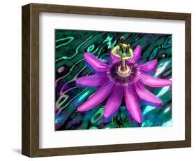 Detail of Passion Flower on Stained Glass, Alpharetta, Georgia, USA-Charles R. Needle-Framed Photographic Print