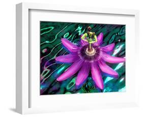 Detail of Passion Flower on Stained Glass, Alpharetta, Georgia, USA-Charles R. Needle-Framed Photographic Print