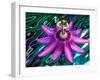 Detail of Passion Flower on Stained Glass, Alpharetta, Georgia, USA-Charles R. Needle-Framed Photographic Print