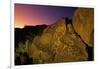 Detail of Petroglyphs at Petroglyph National Monument-Danny Lehman-Framed Photographic Print