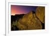 Detail of Petroglyphs at Petroglyph National Monument-Danny Lehman-Framed Photographic Print