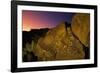 Detail of Petroglyphs at Petroglyph National Monument-Danny Lehman-Framed Photographic Print