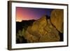 Detail of Petroglyphs at Petroglyph National Monument-Danny Lehman-Framed Photographic Print