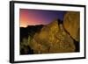 Detail of Petroglyphs at Petroglyph National Monument-Danny Lehman-Framed Photographic Print