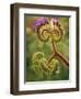 Detail of Phacelia Plant in Bloom, Death Valley National Park, California, USA-Dennis Flaherty-Framed Photographic Print