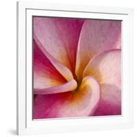 Detail of Plumeria at Molokai Plumerias, Molokai, Hawaii, USA-Bruce Behnke-Framed Photographic Print