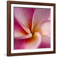 Detail of Plumeria at Molokai Plumerias, Molokai, Hawaii, USA-Bruce Behnke-Framed Photographic Print