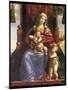 Detail of Polyptychon, Virgin & Child with Infant St.John, (Altarpiece)-Dosso Dossi-Mounted Giclee Print