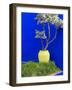 Detail of Potted Plant Against Blue Wall-Stephen Studd-Framed Photographic Print