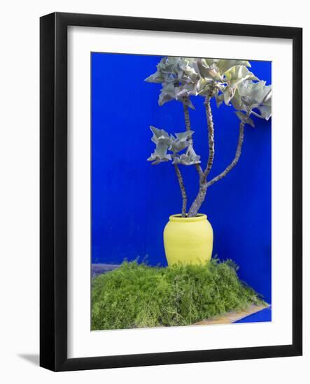 Detail of Potted Plant Against Blue Wall-Stephen Studd-Framed Photographic Print