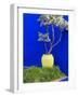 Detail of Potted Plant Against Blue Wall-Stephen Studd-Framed Photographic Print