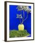 Detail of Potted Plant Against Blue Wall-Stephen Studd-Framed Photographic Print