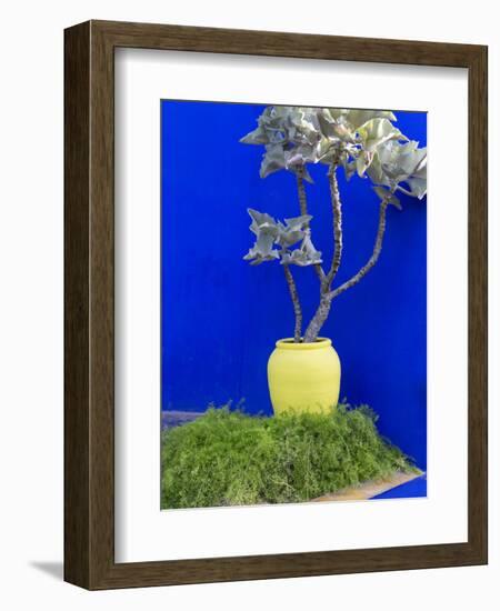 Detail of Potted Plant Against Blue Wall-Stephen Studd-Framed Photographic Print