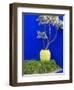 Detail of Potted Plant Against Blue Wall-Stephen Studd-Framed Photographic Print