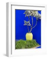 Detail of Potted Plant Against Blue Wall-Stephen Studd-Framed Photographic Print