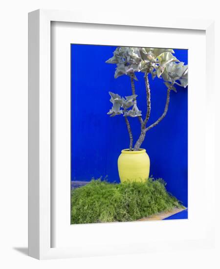 Detail of Potted Plant Against Blue Wall-Stephen Studd-Framed Photographic Print