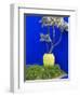 Detail of Potted Plant Against Blue Wall-Stephen Studd-Framed Photographic Print