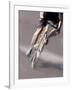 Detail of Road Cyclist-null-Framed Photographic Print