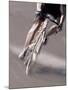 Detail of Road Cyclist-null-Mounted Photographic Print