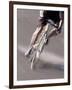 Detail of Road Cyclist-null-Framed Photographic Print