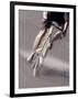 Detail of Road Cyclist-null-Framed Photographic Print