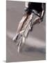 Detail of Road Cyclist-null-Mounted Photographic Print