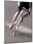 Detail of Road Cyclist-null-Mounted Photographic Print