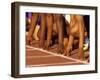 Detail of Runners Hands at the Start of a Mens 100M Race-Steven Sutton-Framed Photographic Print