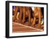 Detail of Runners Hands at the Start of a Mens 100M Race-Steven Sutton-Framed Photographic Print