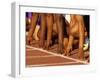 Detail of Runners Hands at the Start of a Mens 100M Race-Steven Sutton-Framed Photographic Print