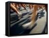Detail of Runners Legs in A Road Race-null-Framed Stretched Canvas