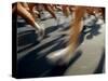 Detail of Runners Legs in Aroad Race-Steven Sutton-Stretched Canvas