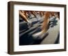 Detail of Runners Legs in Aroad Race-Steven Sutton-Framed Photographic Print