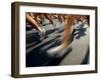 Detail of Runners Legs in Aroad Race-Steven Sutton-Framed Photographic Print