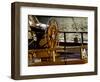 Detail of Sailboat's Helm, Helsinki, Finland-Nancy & Steve Ross-Framed Photographic Print