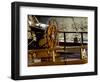 Detail of Sailboat's Helm, Helsinki, Finland-Nancy & Steve Ross-Framed Photographic Print