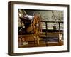 Detail of Sailboat's Helm, Helsinki, Finland-Nancy & Steve Ross-Framed Photographic Print